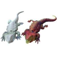 Іграшка Ящірка 3D 1630-2 24см мікс кольорів